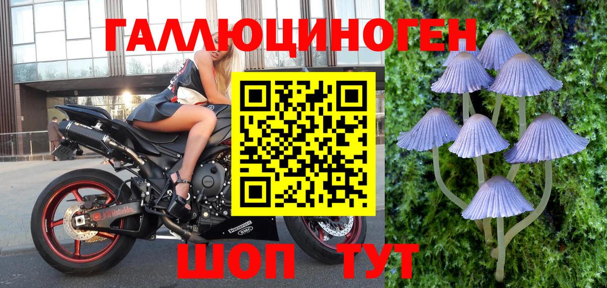 Галлюциногенные грибы Magic Shrooms Донской