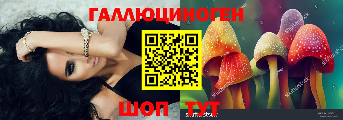 Псилоцибиновые грибы GOLDEN TEACHER  Вход с VPN  Донской 